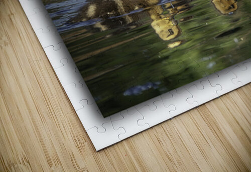 Sibling Ducklings Moments By Shane puzzle