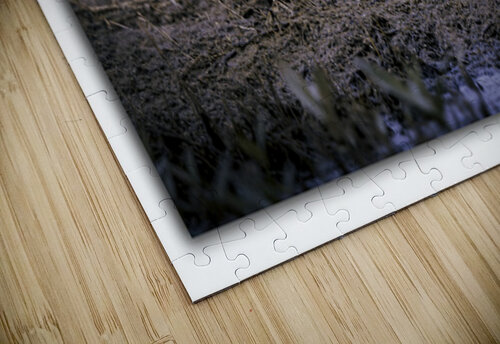 Greater Yellow Leg 1 Moments By Shane puzzle