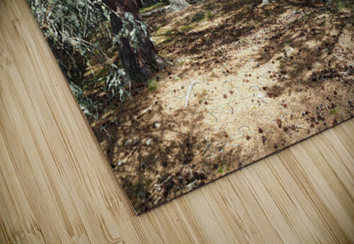 Scottish Highlands Pine Trees                                                                                                                      Catriona Roberts Nature Photography and Designs puzzle