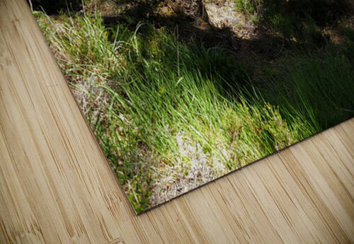  A Hill Top View in the Scottish Highlands                                                                                                                     Catriona Roberts Nature Photography and Designs puzzle