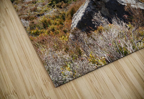 A Magical Place in the Scottish Highlands                                                                                                                      Catriona Roberts Nature Photography and Designs puzzle