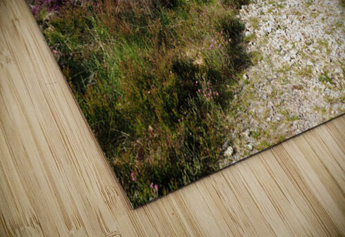 The Long Path through the Scottish Highlands                                                                                                                      Catriona Roberts Nature Photography and Designs puzzle