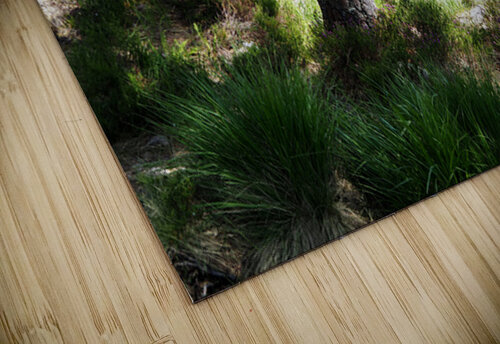   The Magical Place of the Fae in the Scottish Highlands                                                                                                                    Catriona Roberts Nature Photography and Designs puzzle