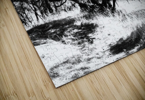  Monochrome Nature in the Scottish Highlands                                                                                                                     Catriona Roberts Nature Photography and Designs puzzle