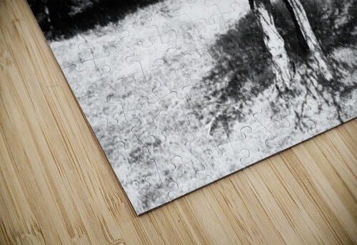 Scottish Highlands Monochrome Rowan Trees                                                                                                                      Catriona Roberts Nature Photography and Designs puzzle