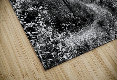 Natures Monochrome Trail in the Scottish Highlands                                                                                                                      Catriona Roberts Nature Photography and Designs puzzle
