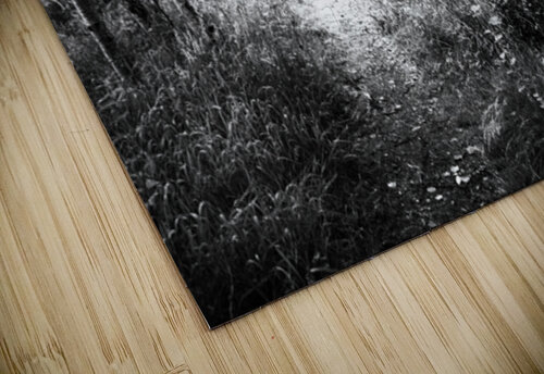 Black and White Walk through the Scottish Highlands                                                                                                                     Catriona Roberts Nature Photography and Designs puzzle