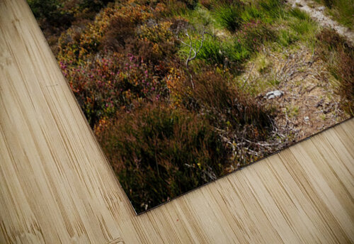 Scottish Highlands Hill Landscape                                                                                                                       Catriona Roberts Nature Photography and Designs puzzle