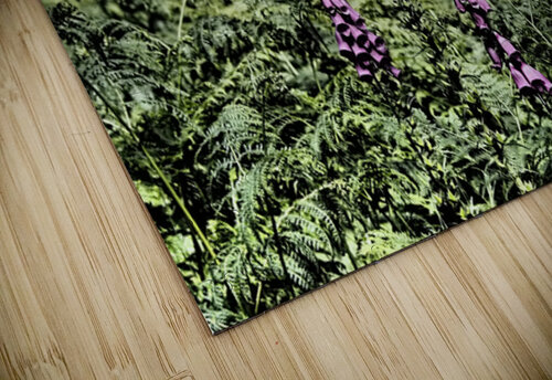 Woodland Foxgloves and Ferns                                                                                                                      Catriona Roberts Nature Photography and Designs puzzle