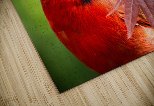 Northern Cardinal Among Maple Leaves Jason Fink puzzle