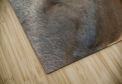 IMG 4812 Leslie Affeldt Photography puzzle