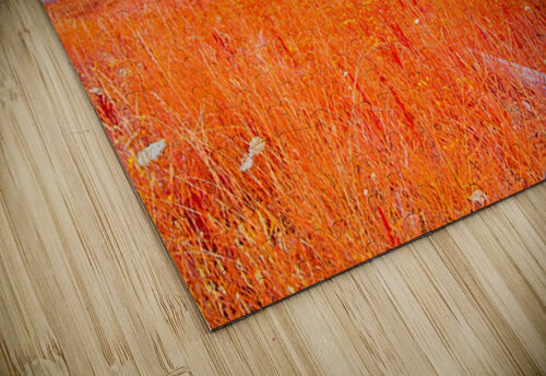 Old Fence Line CRB Images Photography puzzle