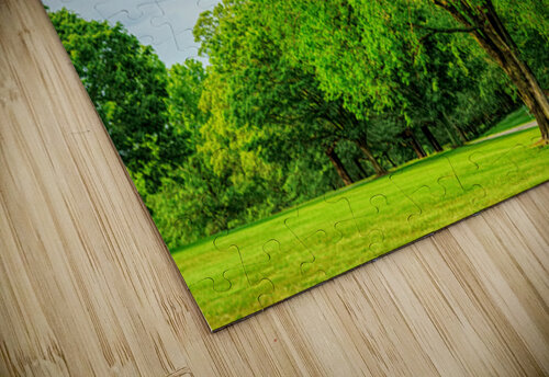 Majestic Elm In Springtime Stillness Jennifer White puzzle