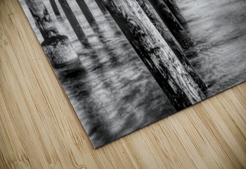 Beside Folly Beach Pier At Sunset Grayscale Jennifer White puzzle