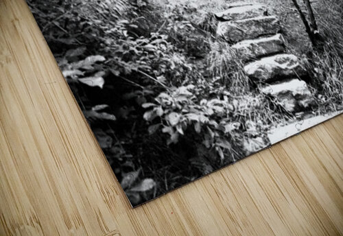  Natures Upward Flight through the Scottish Highlands                                                                                                                     Catriona Roberts Nature Photography and Designs puzzle