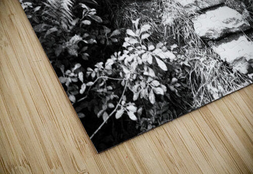 Take a Step Up in Monochrome Catriona Roberts Nature Photography and Designs puzzle