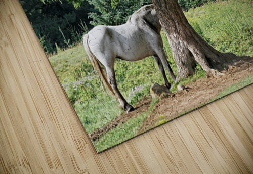 Horse and Tree Mark Schacter puzzle