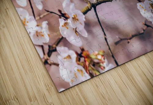  the spring Marigold puzzle