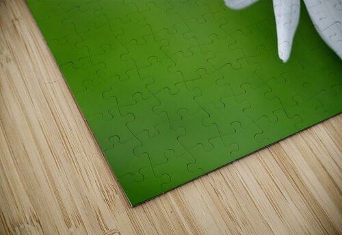 daisy  Marigold puzzle