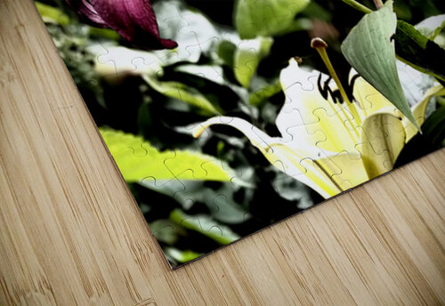 Vibrant Pink Flowering Lilies                                                                                                                      Catriona Roberts Nature Photography and Designs puzzle