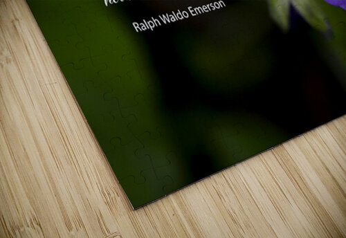 Adopt Patience Norma Brandsberg Photography puzzle