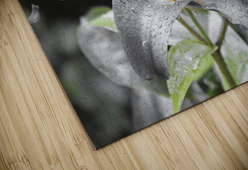 Lilies and the Drew Drops                                                                                                                      Catriona Roberts Nature Photography and Designs puzzle