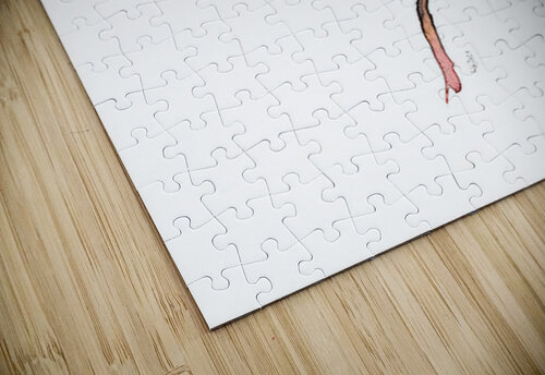 single poppy watercolor painting  Karen Kaspar puzzle