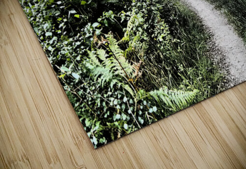  Summers Bridge through the Scottish Highlands                                                                                                                     Catriona Roberts Nature Photography and Designs puzzle