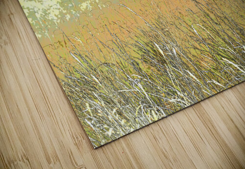 Summers Delight in the Scottish Highlands                                                                                                                      Catriona Roberts Nature Photography and Designs puzzle