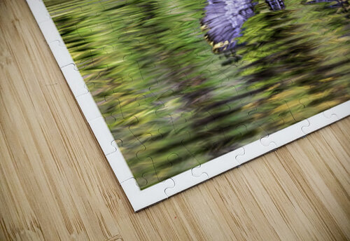 Wood Duck Hen Spread Moments By Shane puzzle