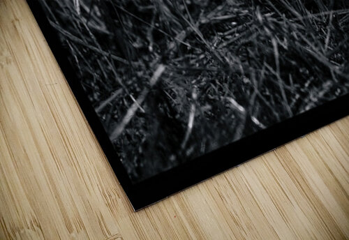 Cloaking Killdeer Moments By Shane puzzle