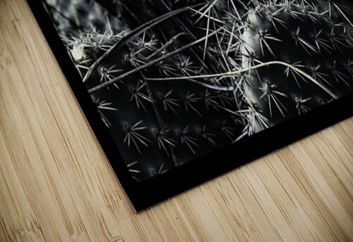 Protected Blossoms Moments By Shane puzzle