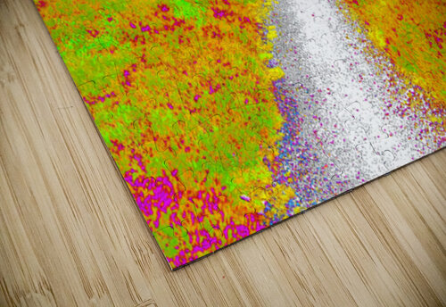  Surreal Nature Path through the Scottish Highlands                                                                                                                     Catriona Roberts Nature Photography and Designs puzzle