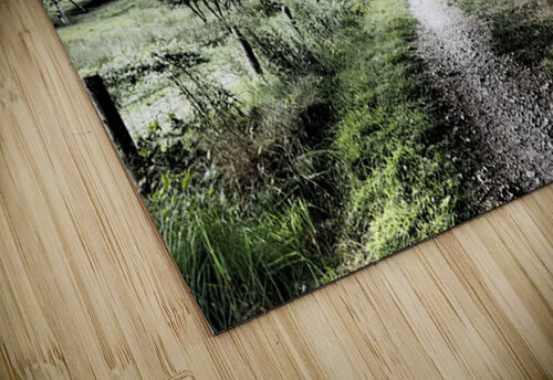  Natures Summer Path through the Scottish Highlands                                                                                                                     Catriona Roberts Nature Photography and Designs puzzle