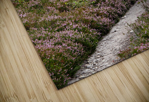  The Heather Honey Trail through the Scottish Highlands                                                                                                                     Catriona Roberts Nature Photography and Designs puzzle