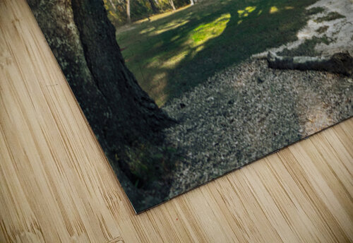 Old Sheldon Church Panorama Norma Brandsberg Photography puzzle