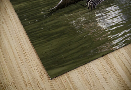 Pelican Coming in for a Landing Norma Brandsberg Photography puzzle