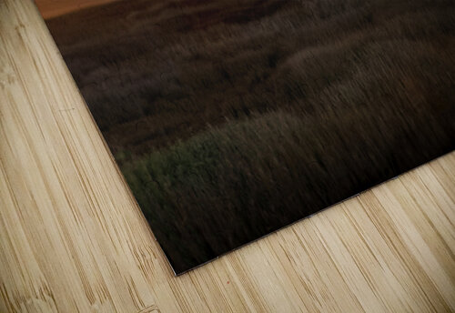 Charleston Skyline at New Years Norma Brandsberg Photography puzzle