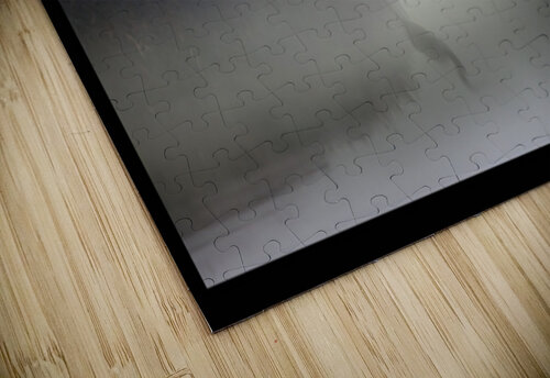 Patient Moments By Shane puzzle