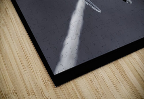 War Bird 1 Moments By Shane puzzle