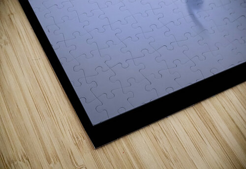 Early Birds Moments By Shane puzzle