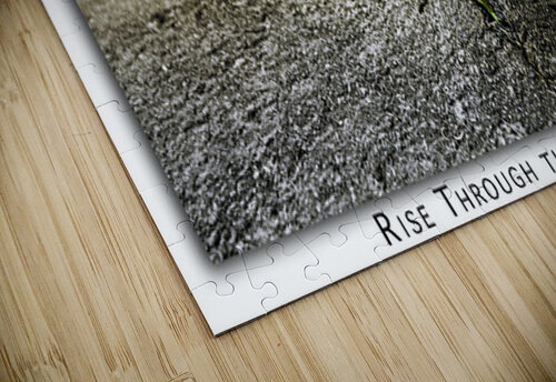 Rise through the Impossible Moments By Shane puzzle