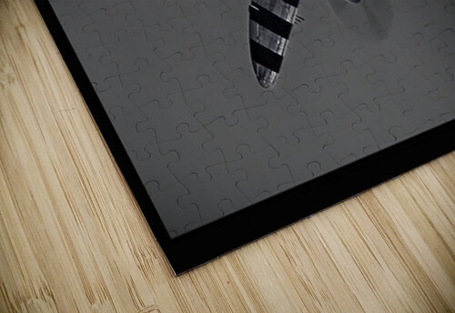 War Bird 2 Moments By Shane puzzle