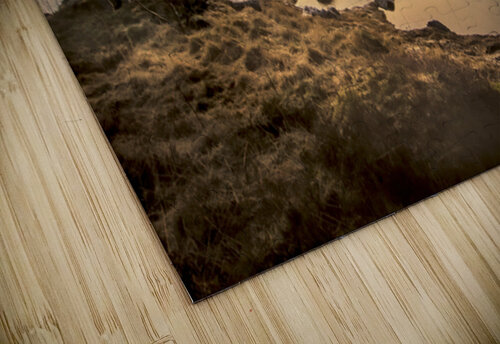 Serenity by the Lofoten Coastal Road Norma Brandsberg Photography puzzle