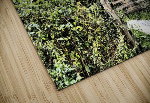 Scottish Highlands High Speed Train and Bridge                                                                                                                      Catriona Roberts Nature Photography and Designs puzzle