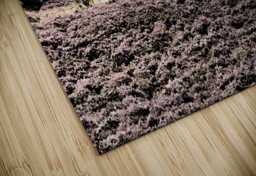 Scottish Highlands Birch Tree Landscape                                                                                                                      Catriona Roberts Nature Photography and Designs puzzle