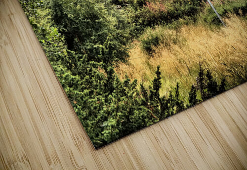  Scottish Highlands High Speed Train on the Trail                                                                                                                     Catriona Roberts Nature Photography and Designs puzzle