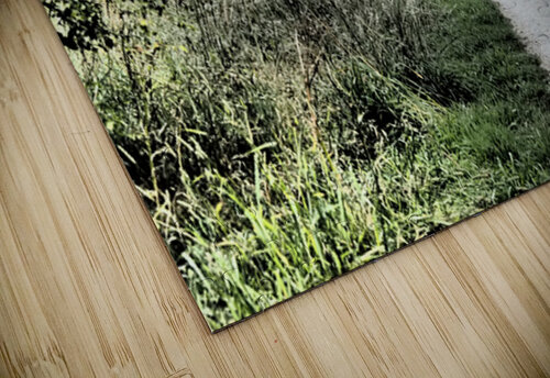 Scottish Highlands Cyclist on the Summer Path                                                                                                                      Catriona Roberts Nature Photography and Designs puzzle