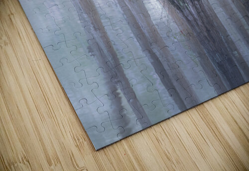 Cypress Tree Reflections Norma Brandsberg Photography puzzle