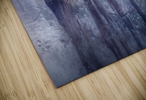 Ethereal Reflections of Winter Trees Norma Brandsberg Photography puzzle